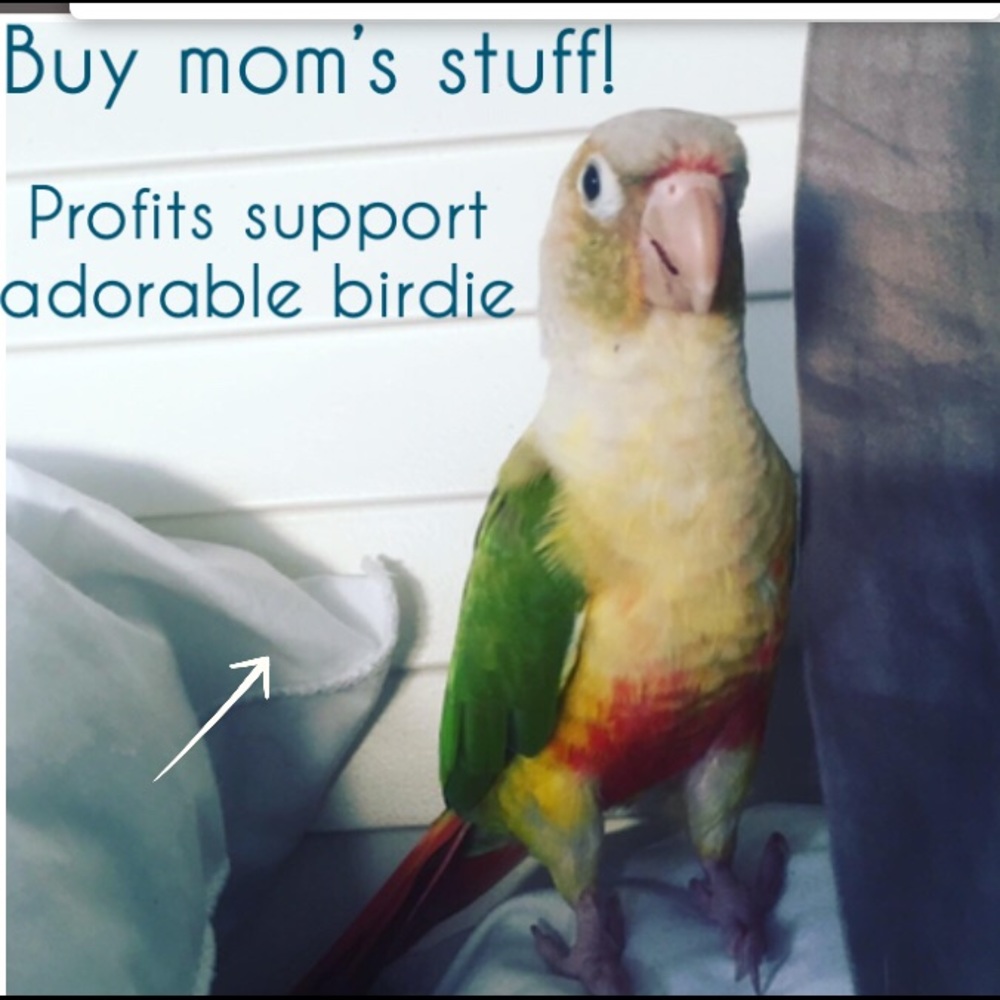 🦜 Buy My Hooman’s Things 🦜